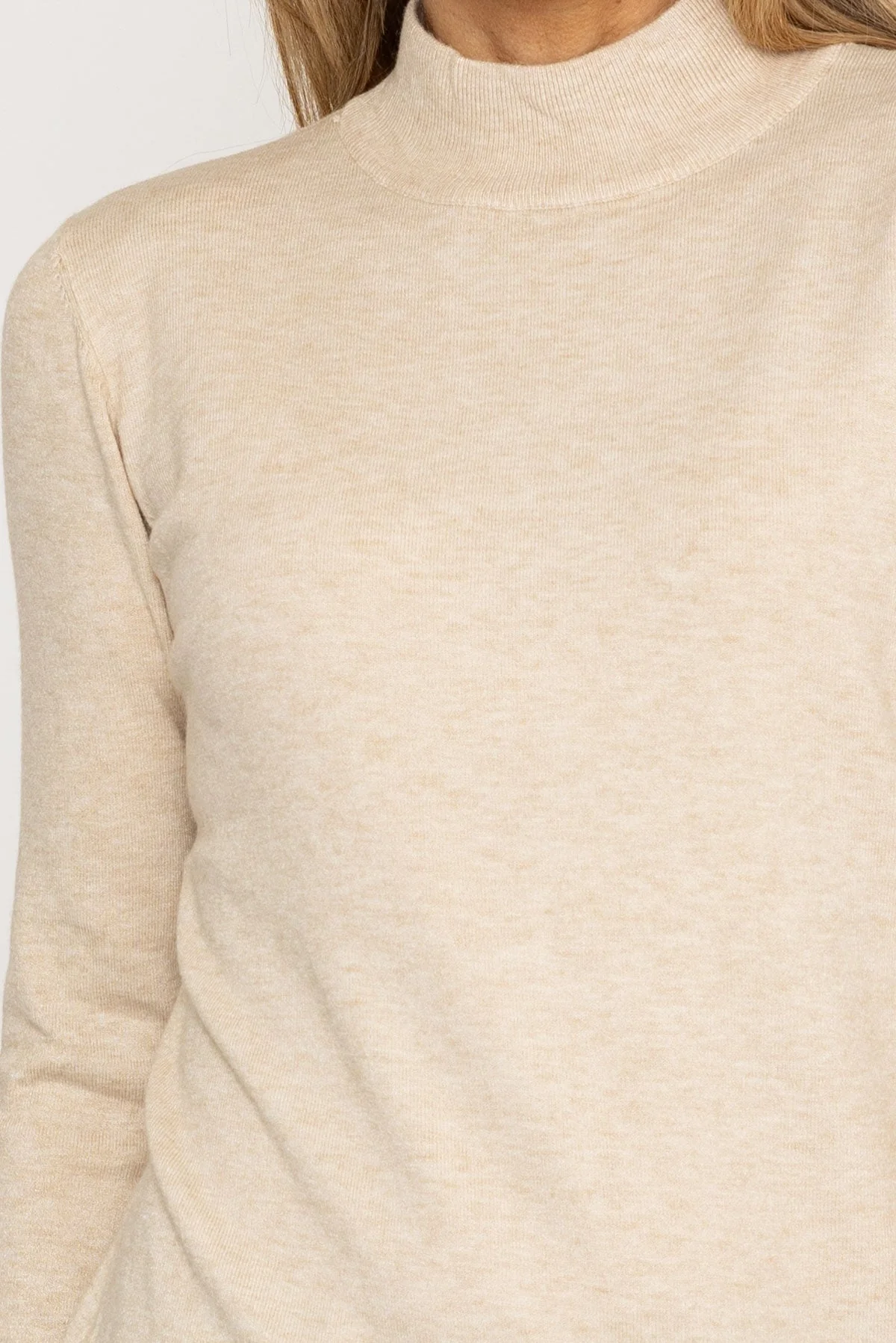 Turtleneck Knit in Beige