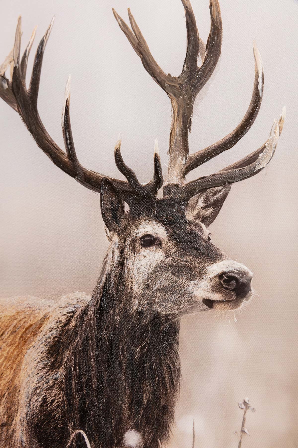 Stag Canvas Wall Art