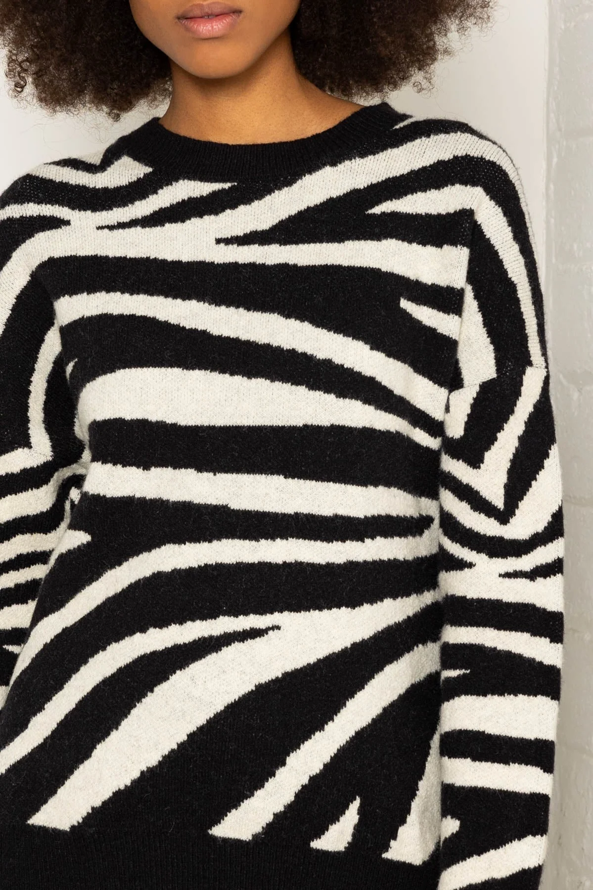 Zebra Print Knit