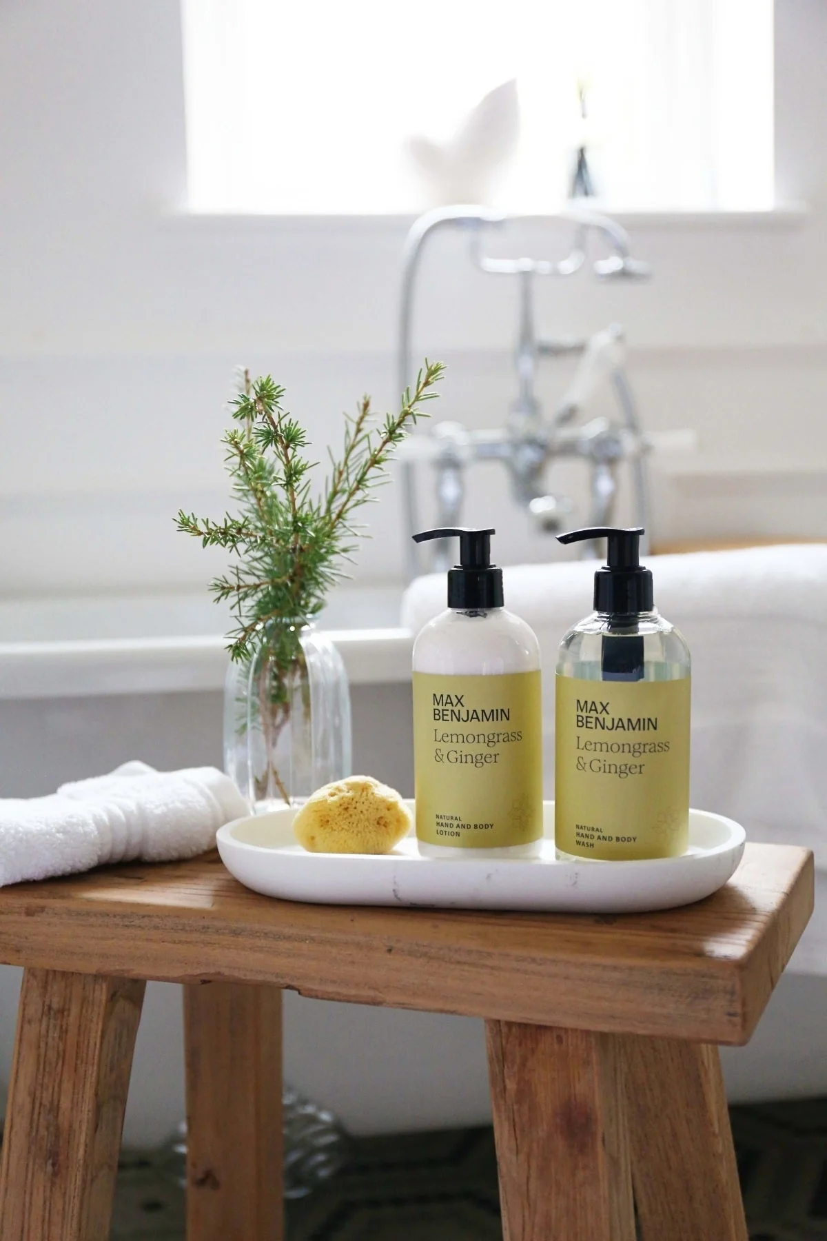 Lemongrass And Ginger Wash And Lotion Gift Set