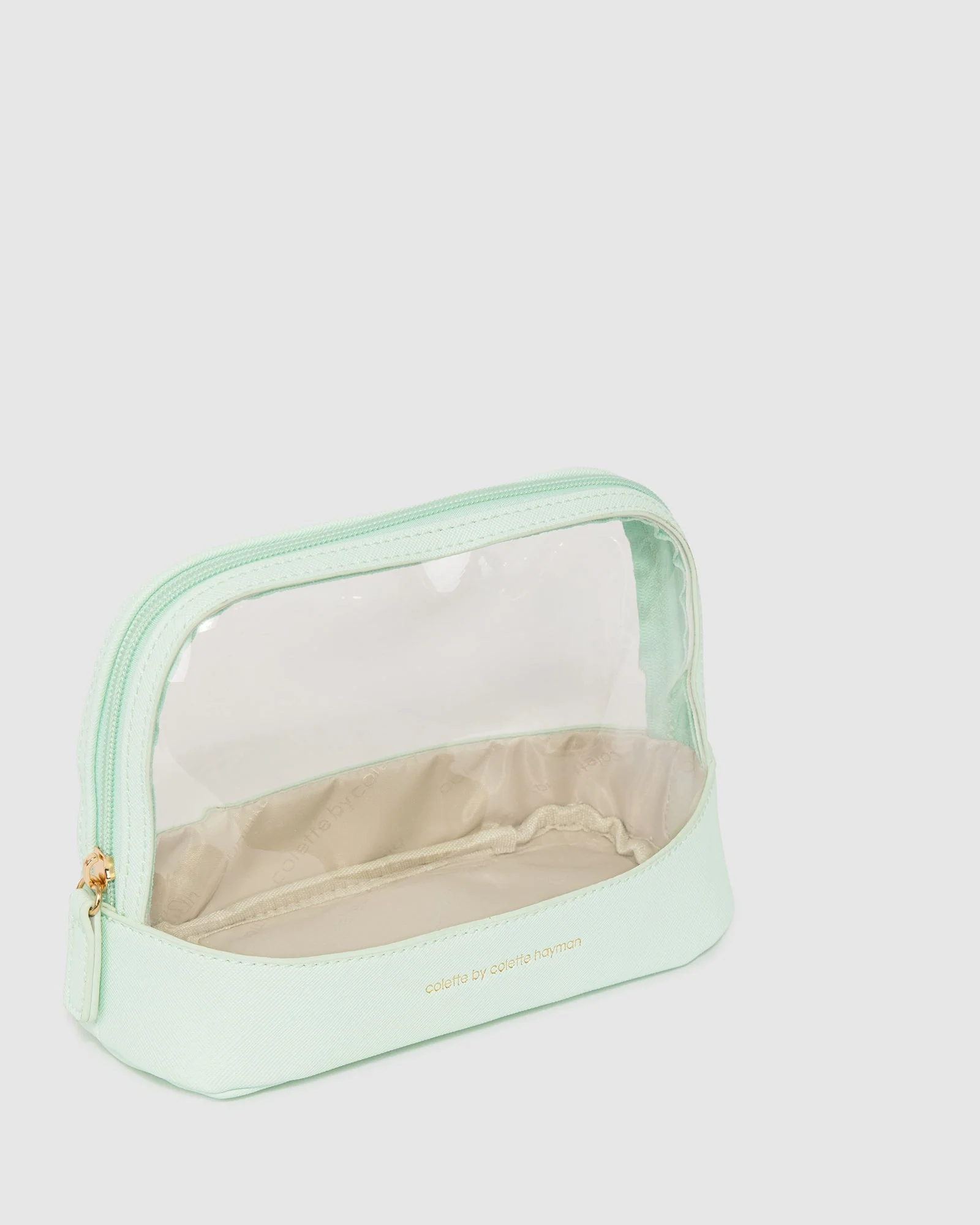 Mint Green Holly Clear Cosmetic Case
