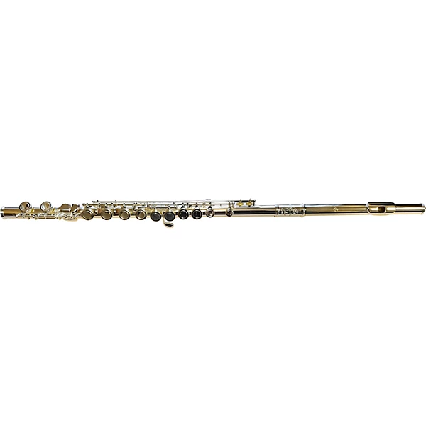 DZ 100 Student Flute G C Foot Offset G C Foot