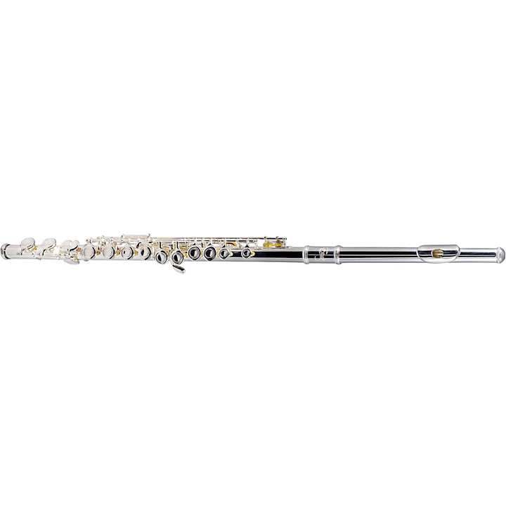 EFL 200 Student Series Flute Offset G C Foot