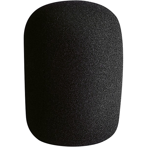 LCT 40 Wxx Microphone Windscreen