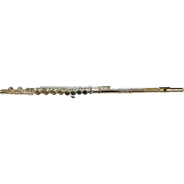 DZ 100 Student Flute G C Foot Offset G C Foot