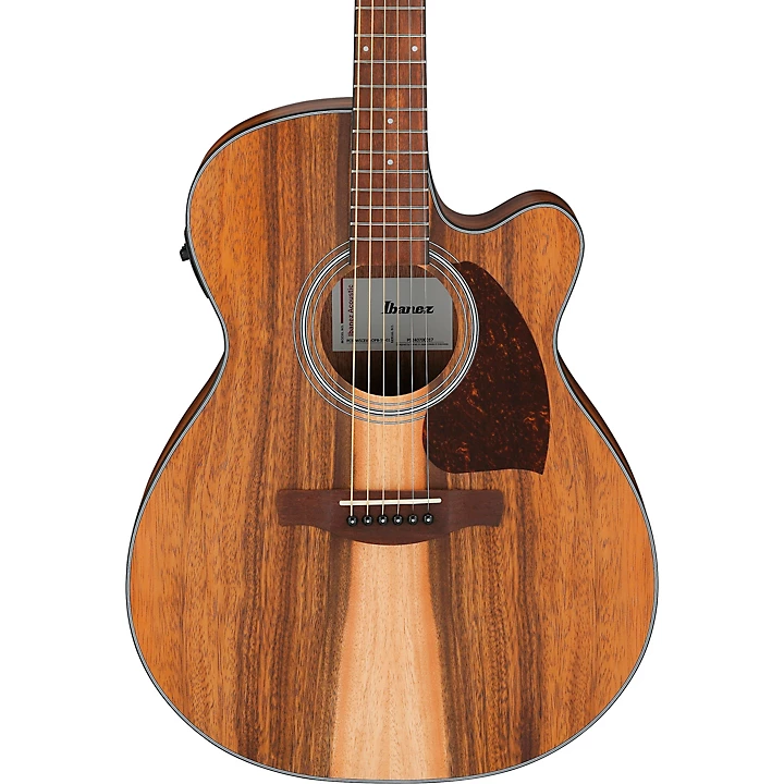 Ibanez PC50WSCE Grand Concert Acoustic Electric Guitar Brown