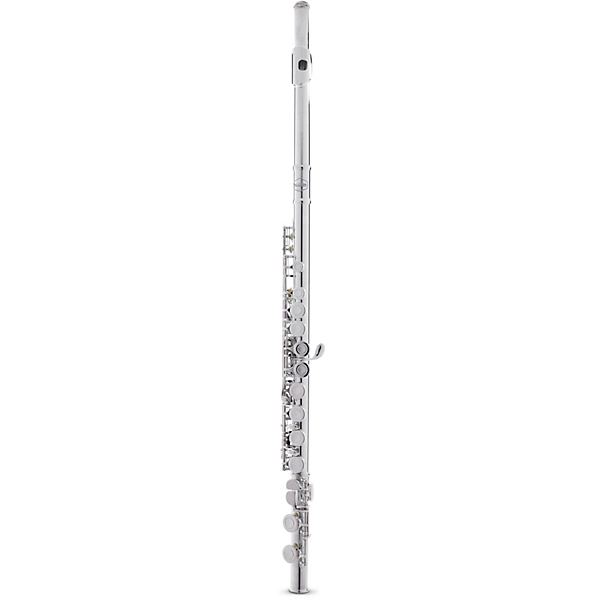 Allora AFL 250 Student Series Flute Level 2 Offset G C Foot