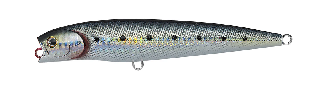 SALTIGA DORADO PENCIL