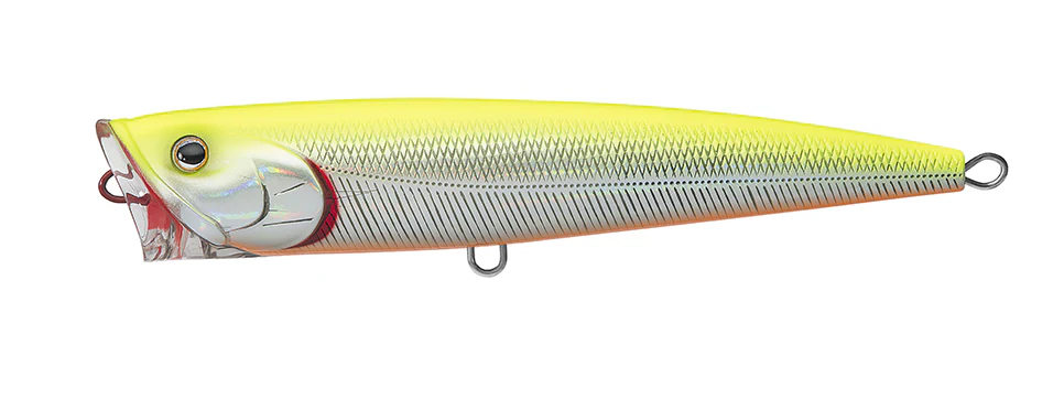 SALTIGA DORADO POPPER