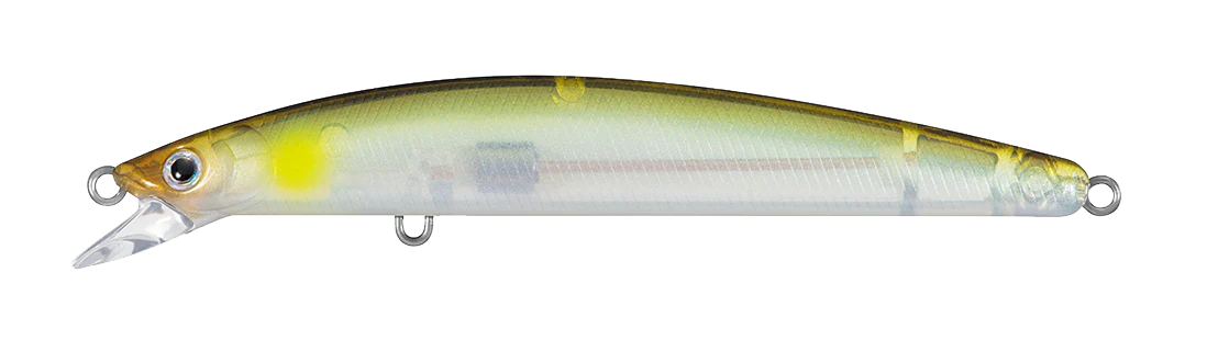 TD MINNOW