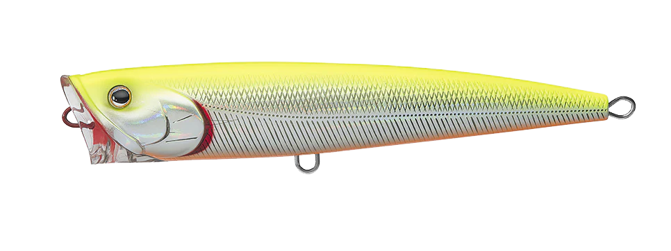 SALTIGA DORADO POPPER