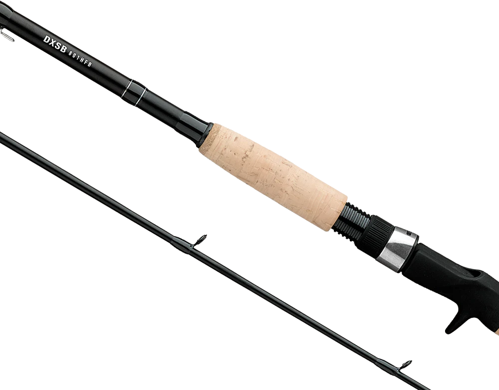 DX SWIMBAIT RODS