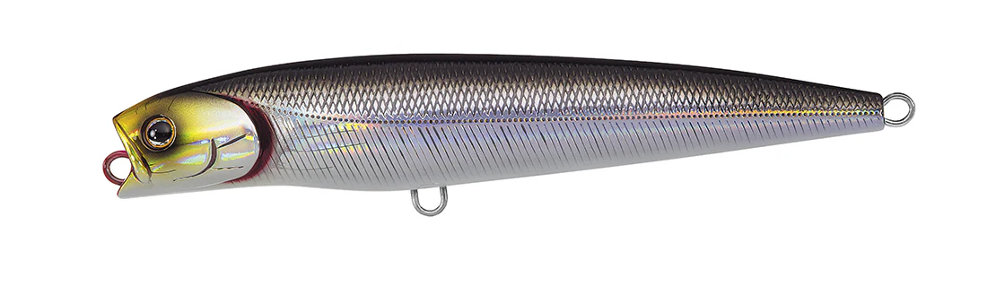 SALTIGA DORADO PENCIL