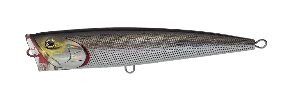 SALTIGA DORADO POPPER