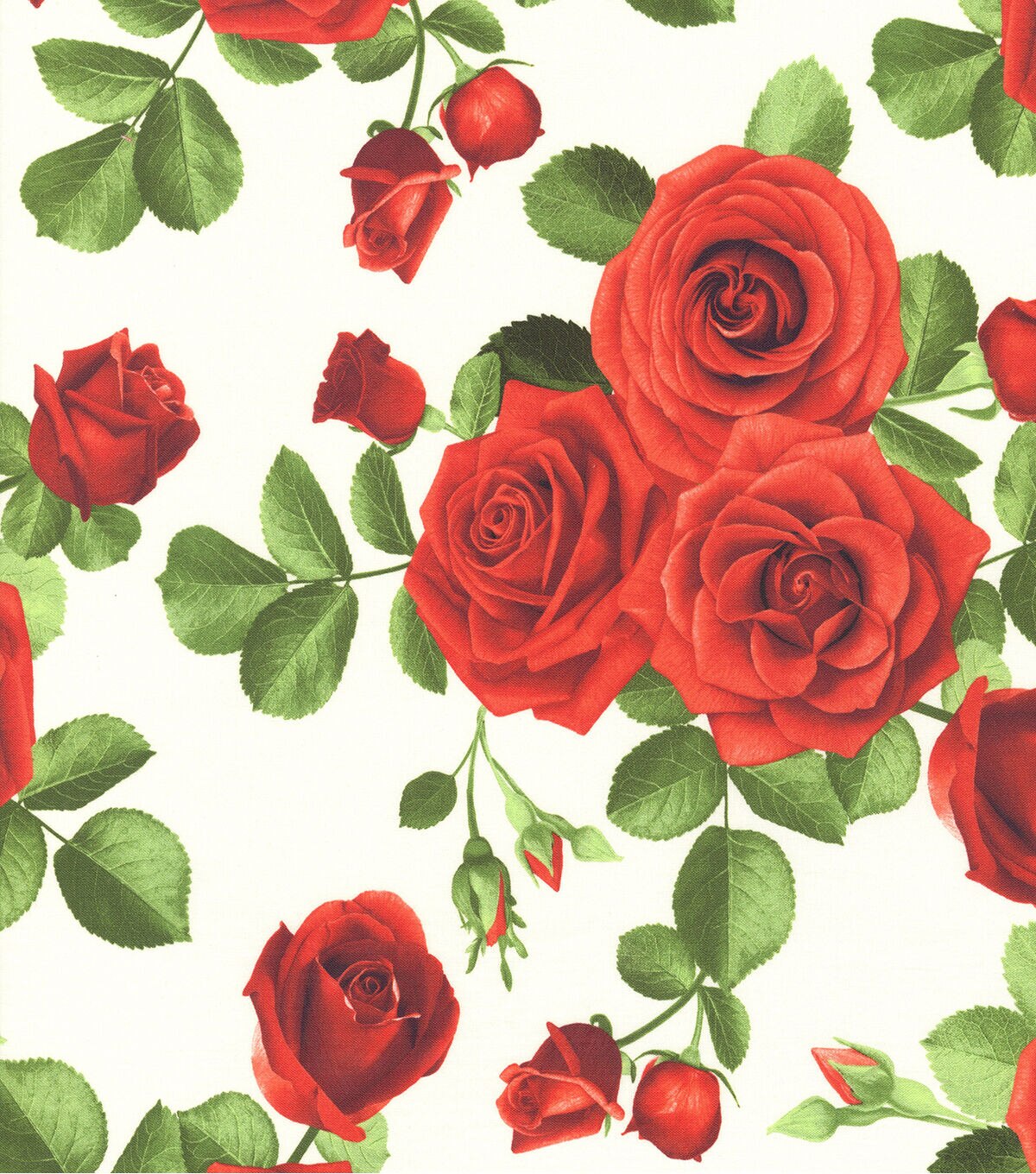 Hi Fashion Roses on White Premium Cotton Fabric
