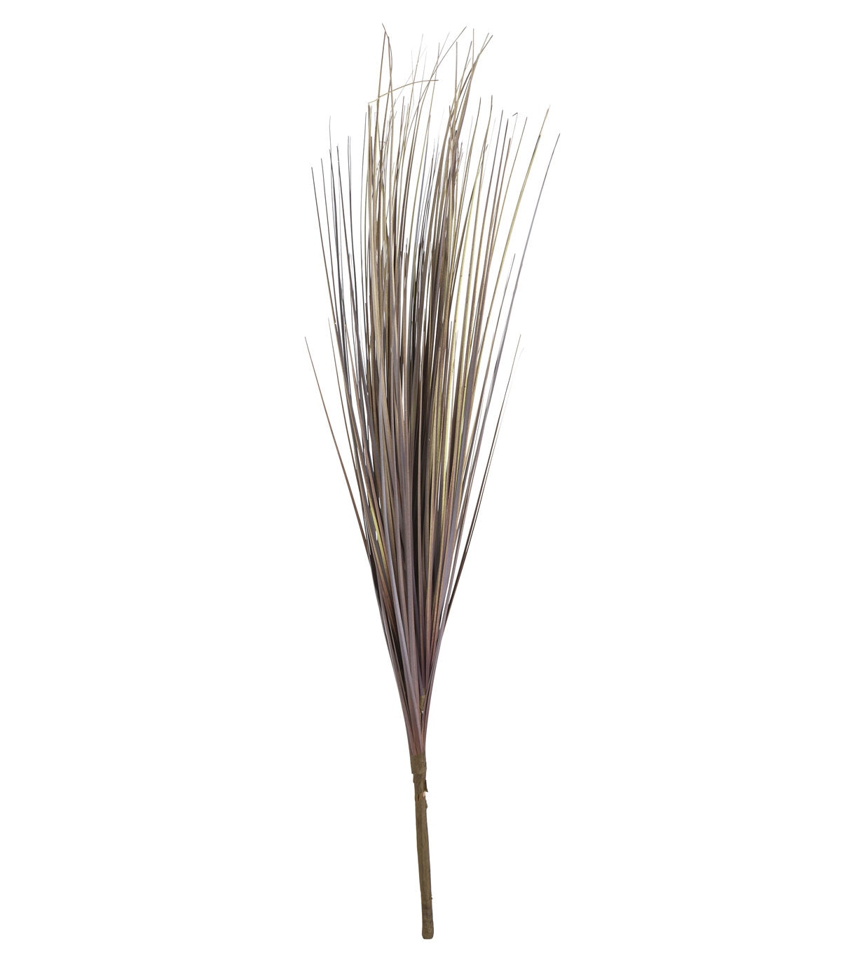 28 Brown Onion Grass Bush by Bloom Room