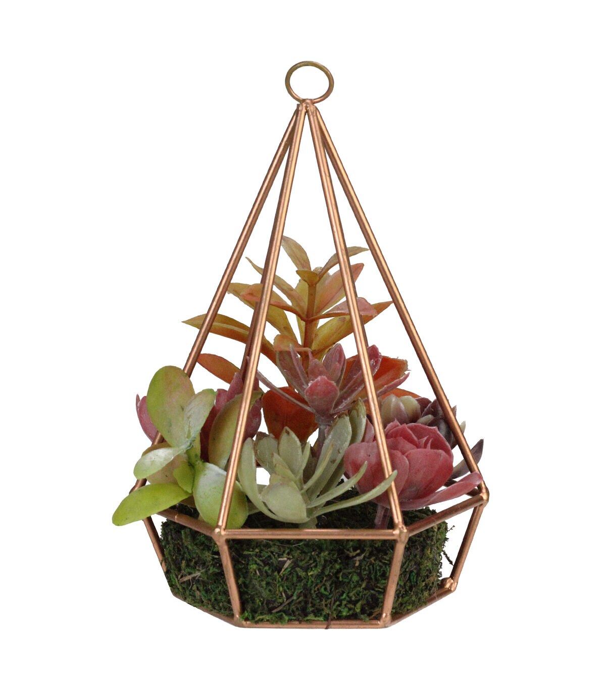 Northlight 9 Artificial Succulents Arrangement in 6-Sided Wire Frame