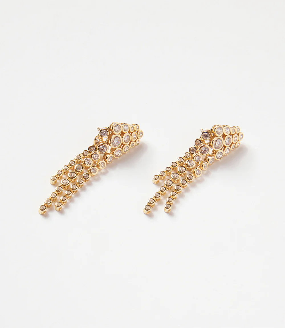 Dangling Gemstone Earrings