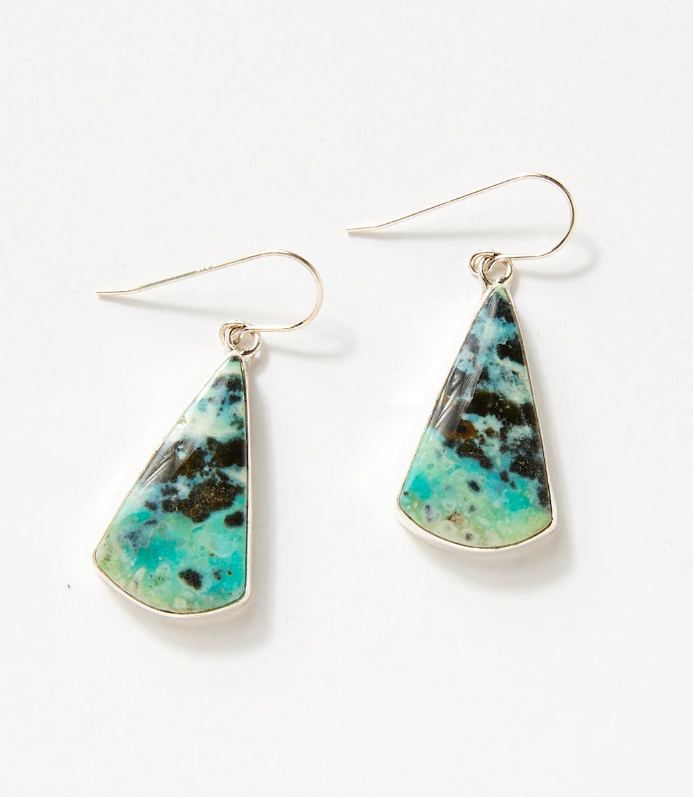 Opalized Petrified Wood Dangle Earrings