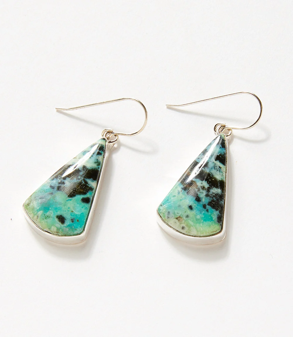 Opalized Petrified Wood Dangle Earrings