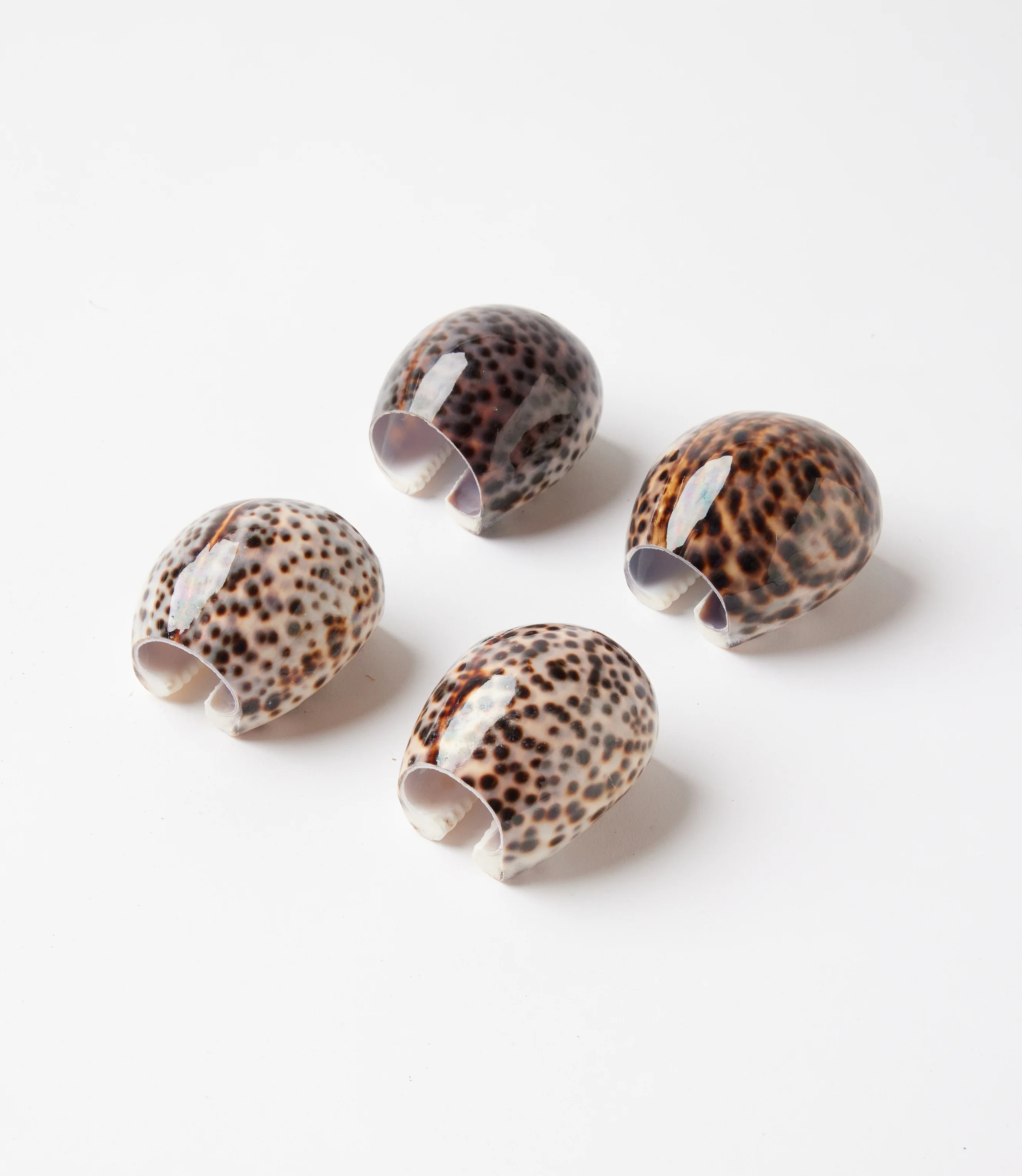 Cowrie Napkin Rings Set Of 4