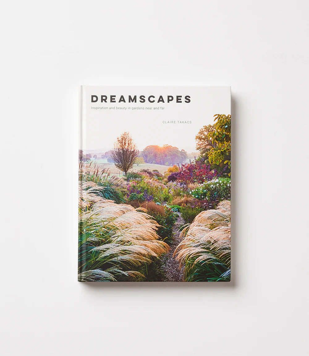 Dreamscapes