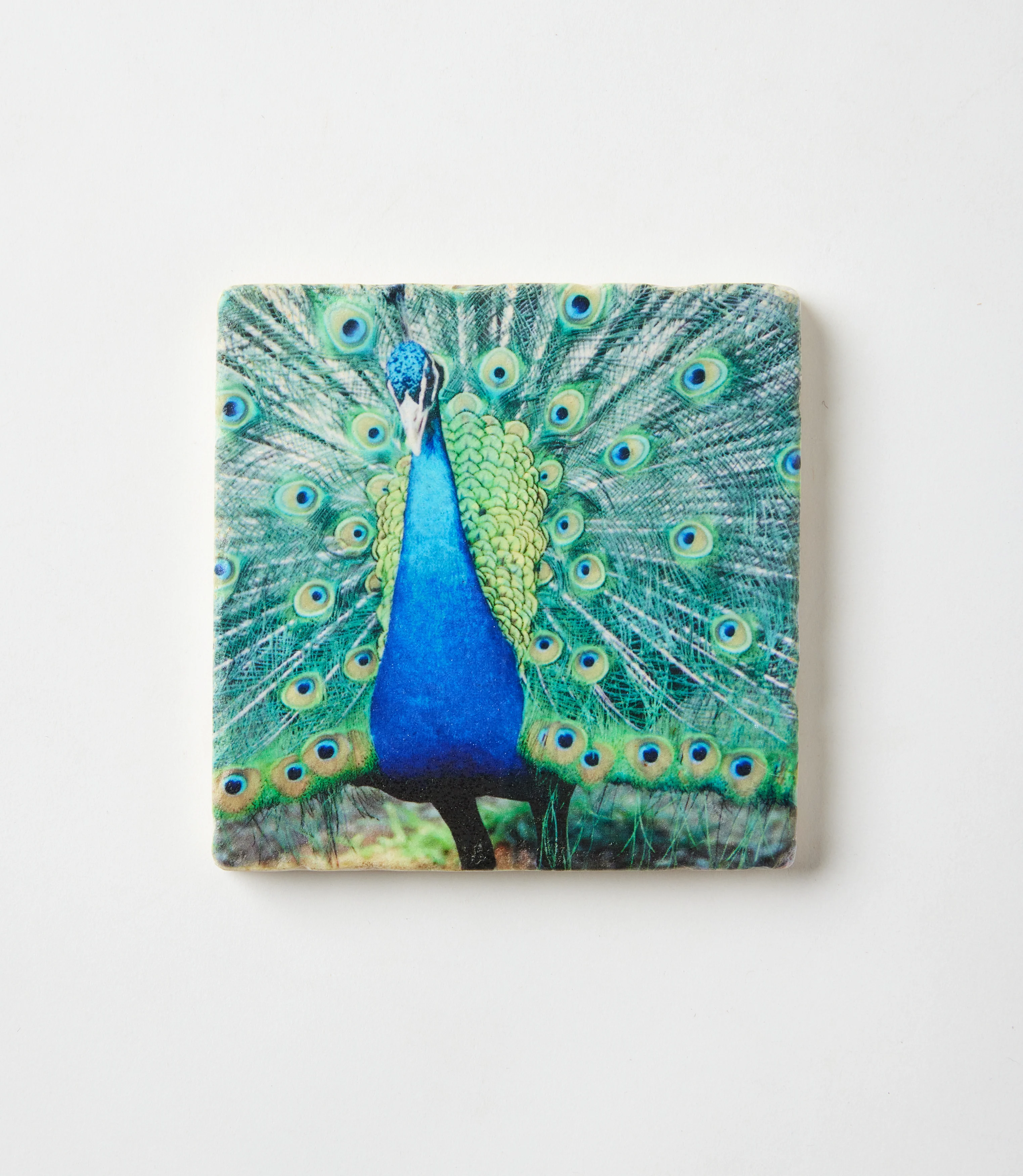 Peacock Marble Coasters, Set Of 4