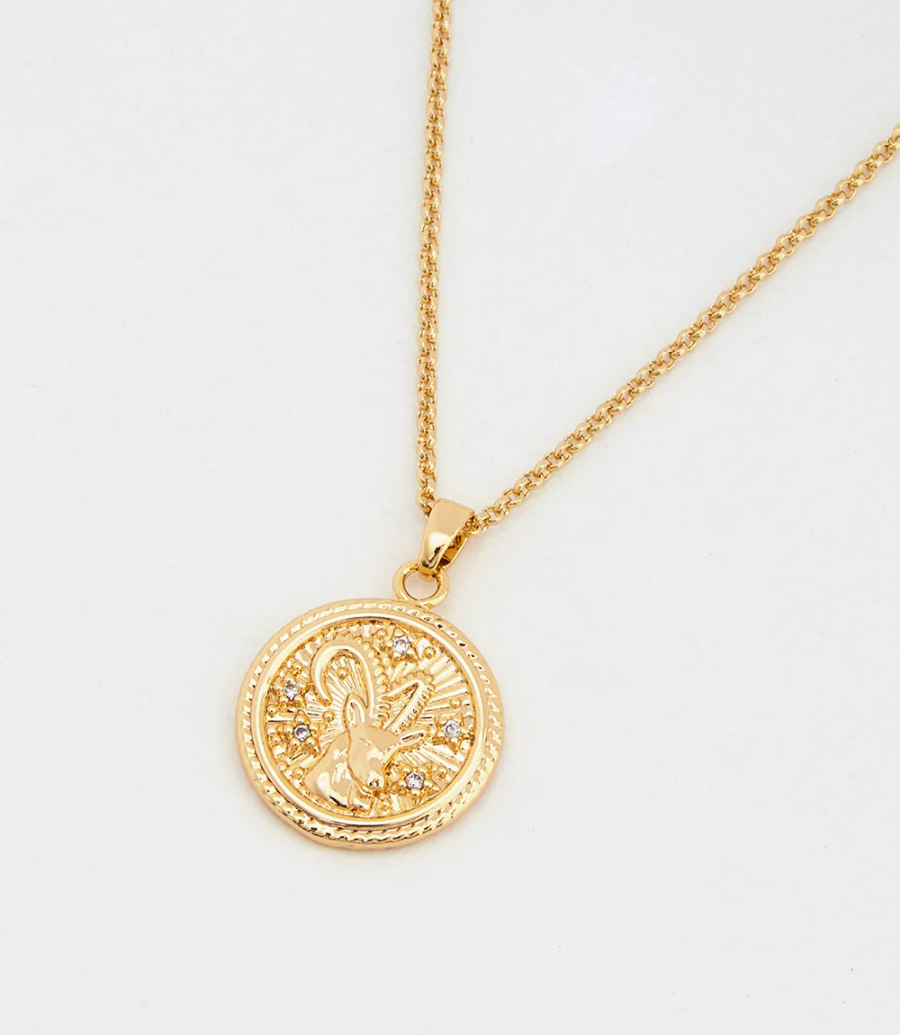 Capricorn Coin Necklace