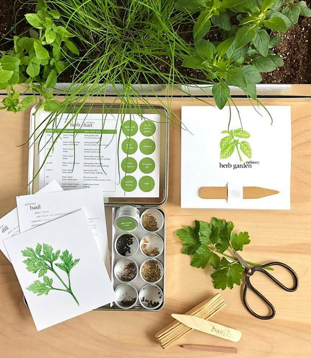 Herb Garden Starter Set