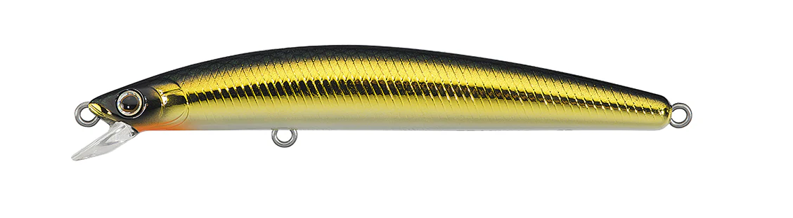 TD MINNOW