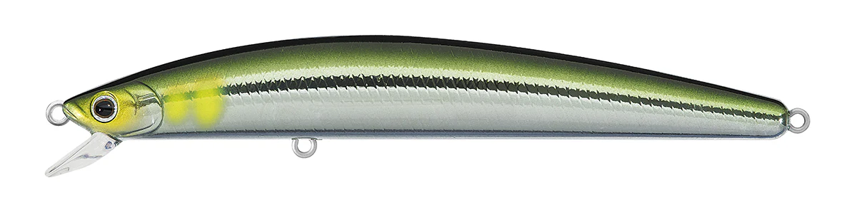 TD MINNOW