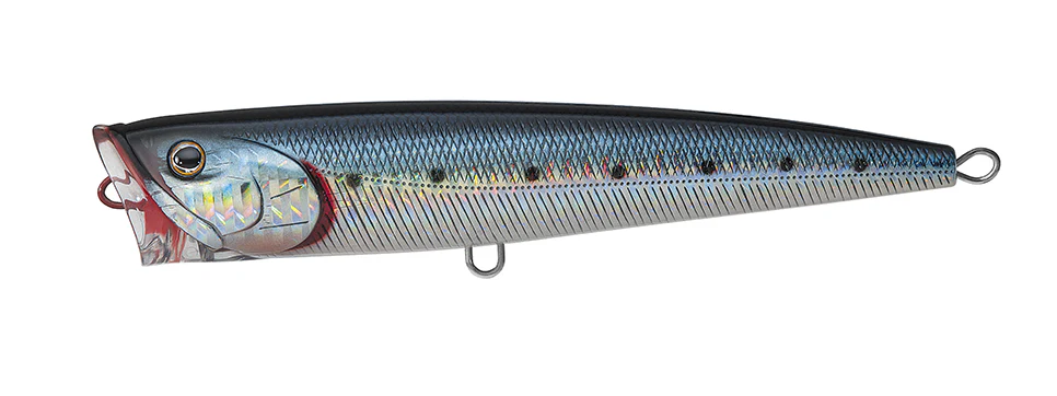 SALTIGA DORADO POPPER