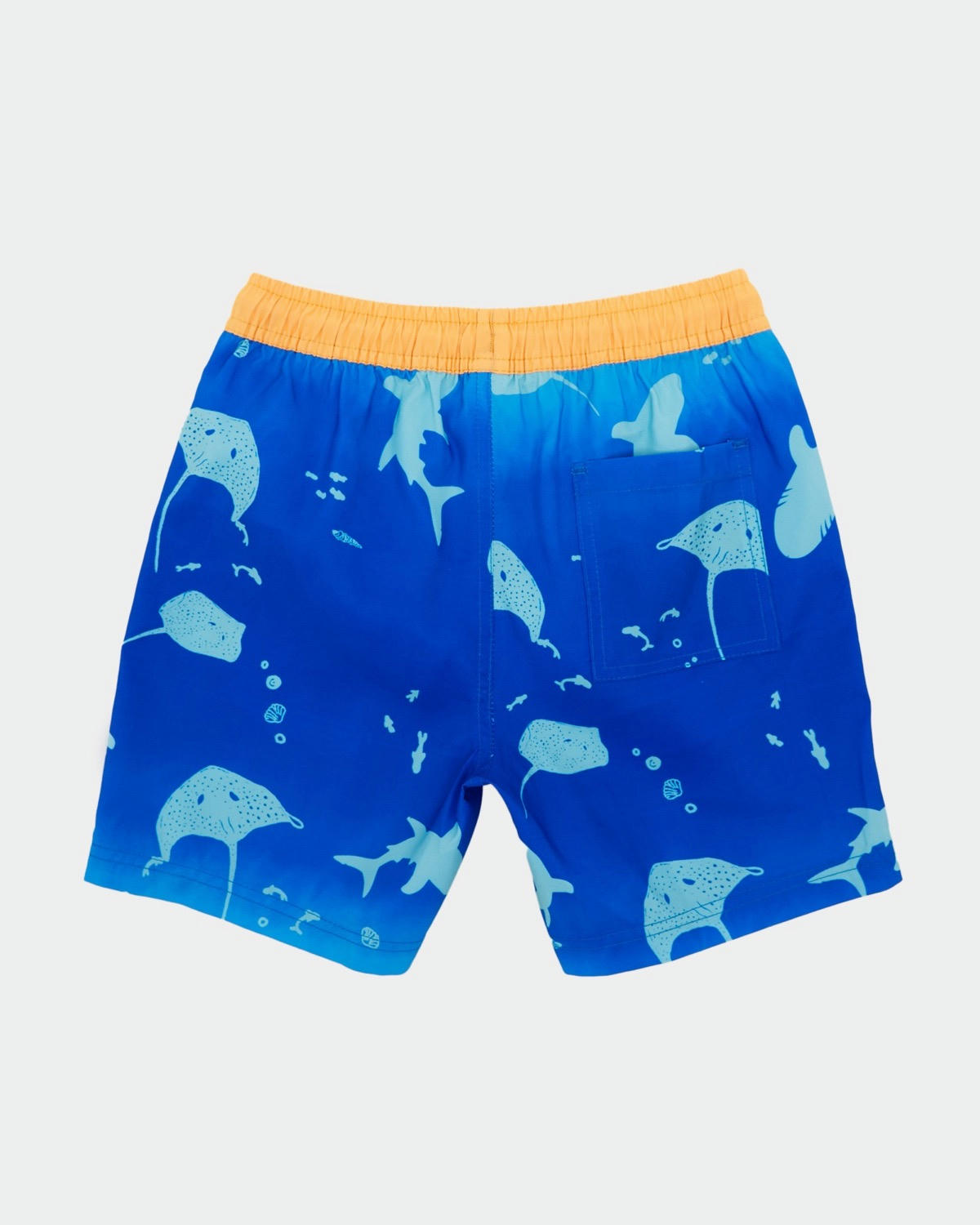 Printed Swim Shorts (2-14 Years)