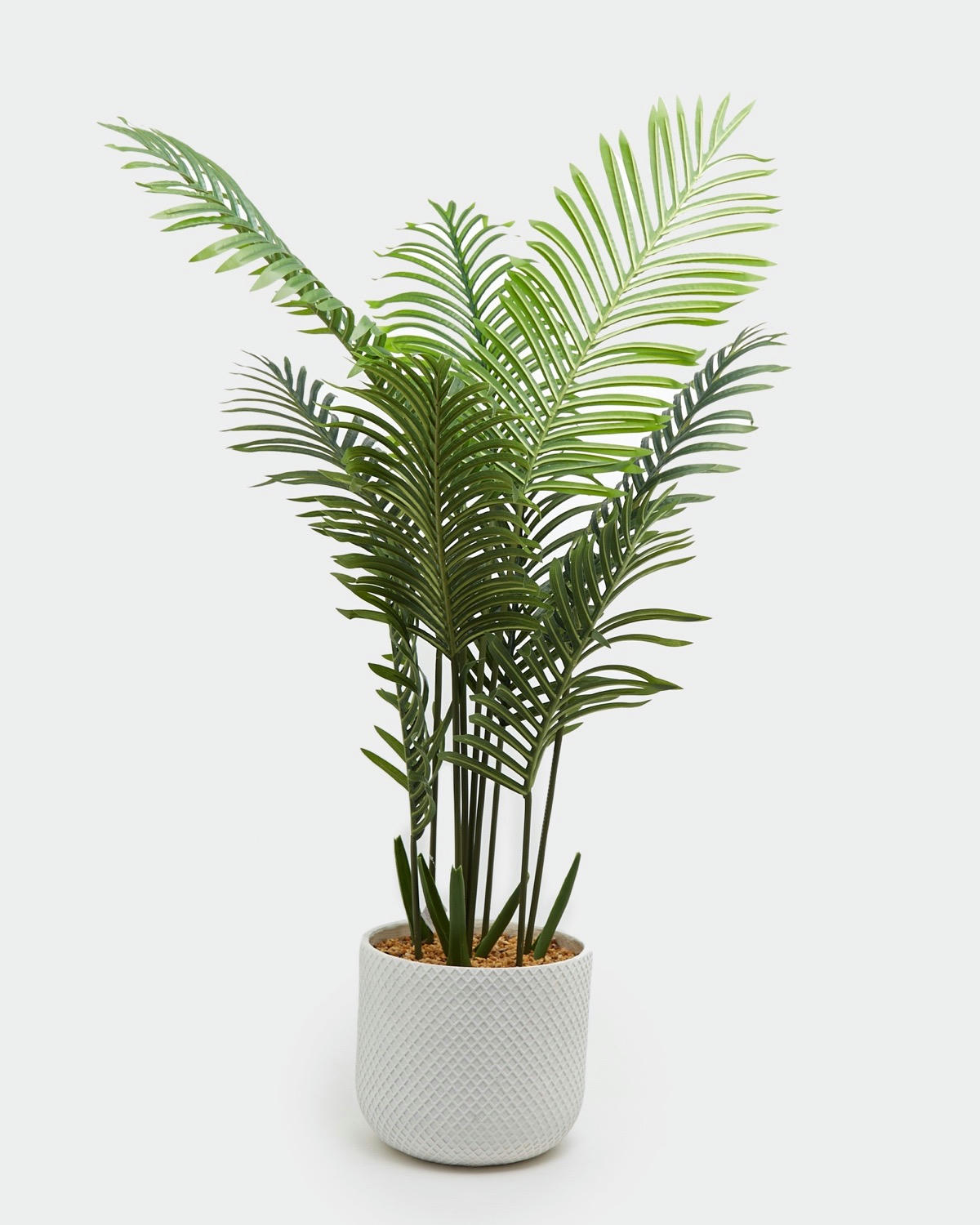 Palm Tree Leaf Pot