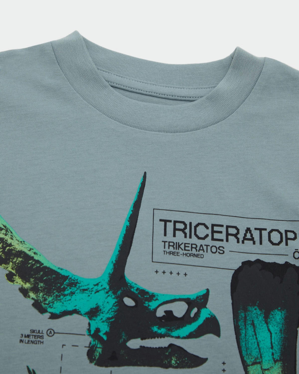 Printed T-Shirt (2-14 years)