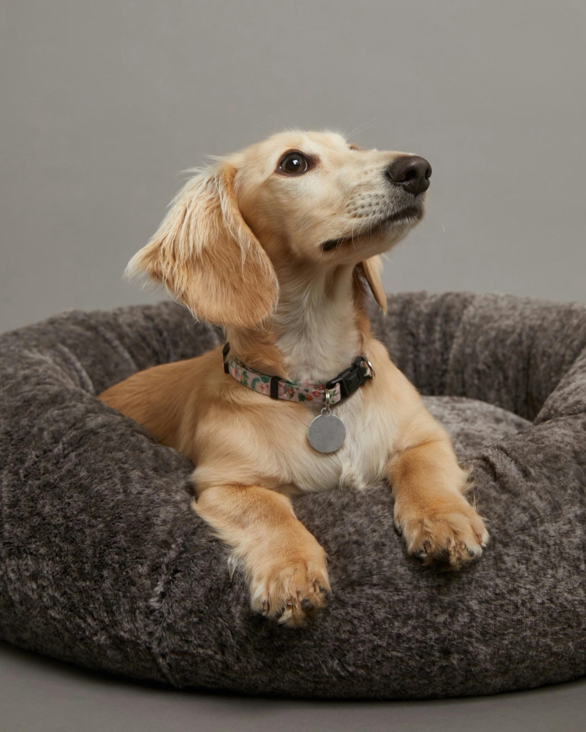 Super Plush Donut Dog Bed