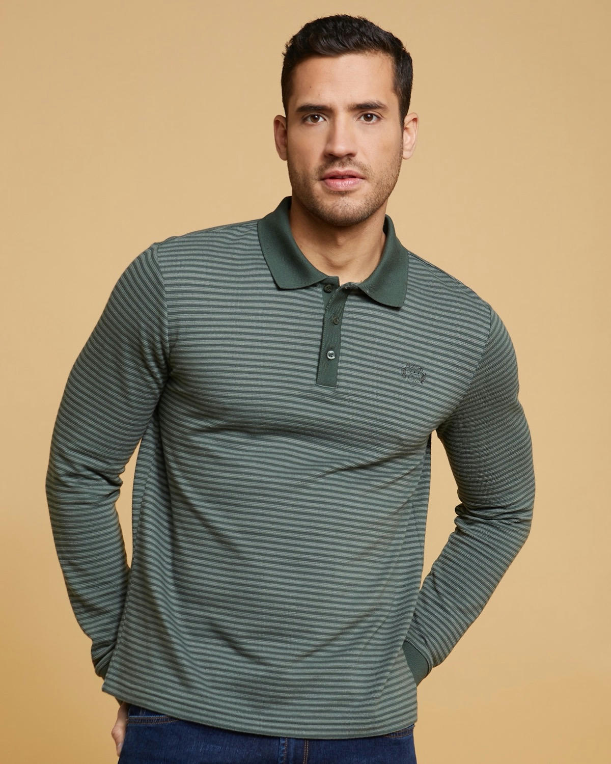 Paul Costelloe Living Long Sleeve Fine Stripe Polo Top