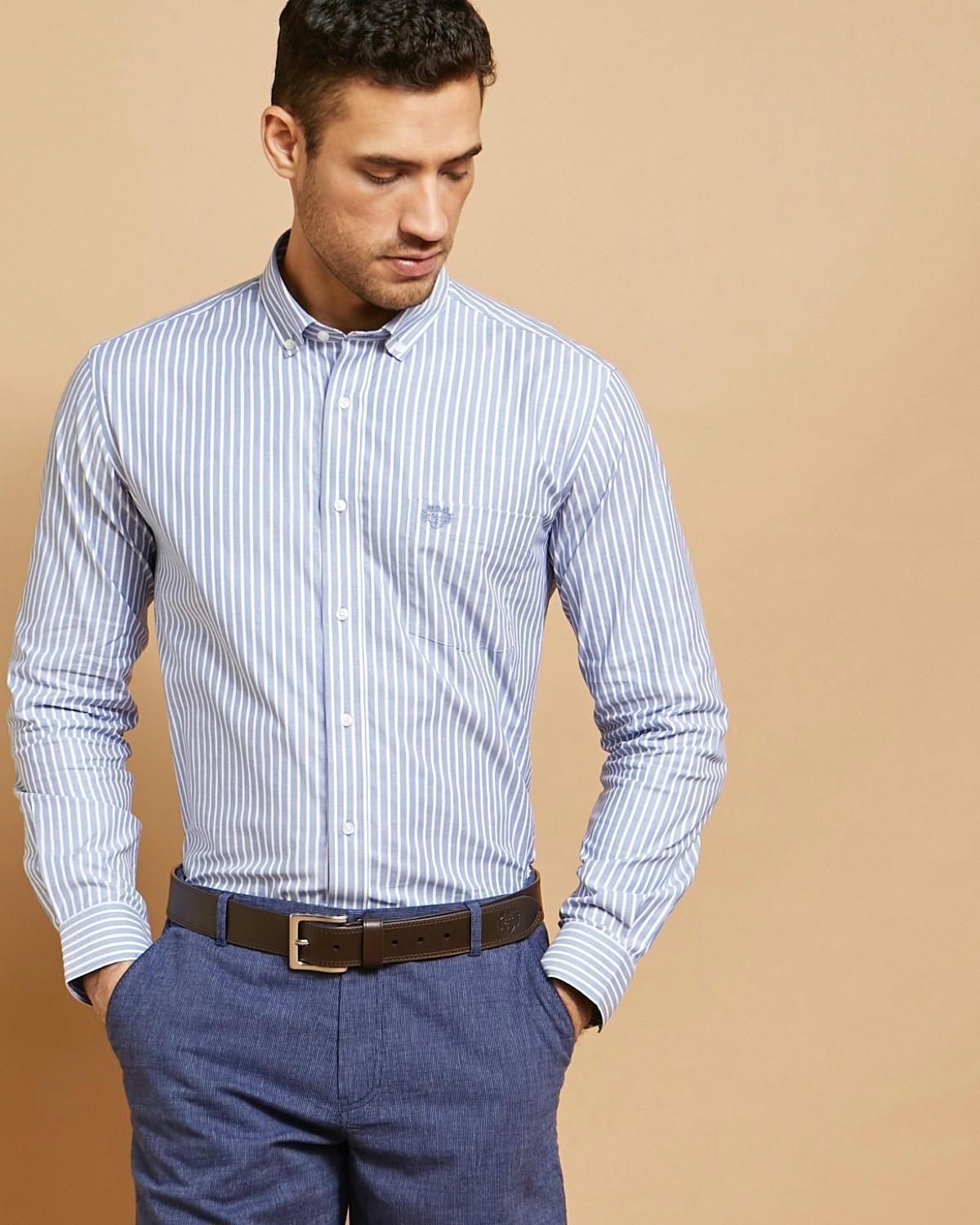 Paul Costelloe Living Stretch Regular Fit Oxford Stripe