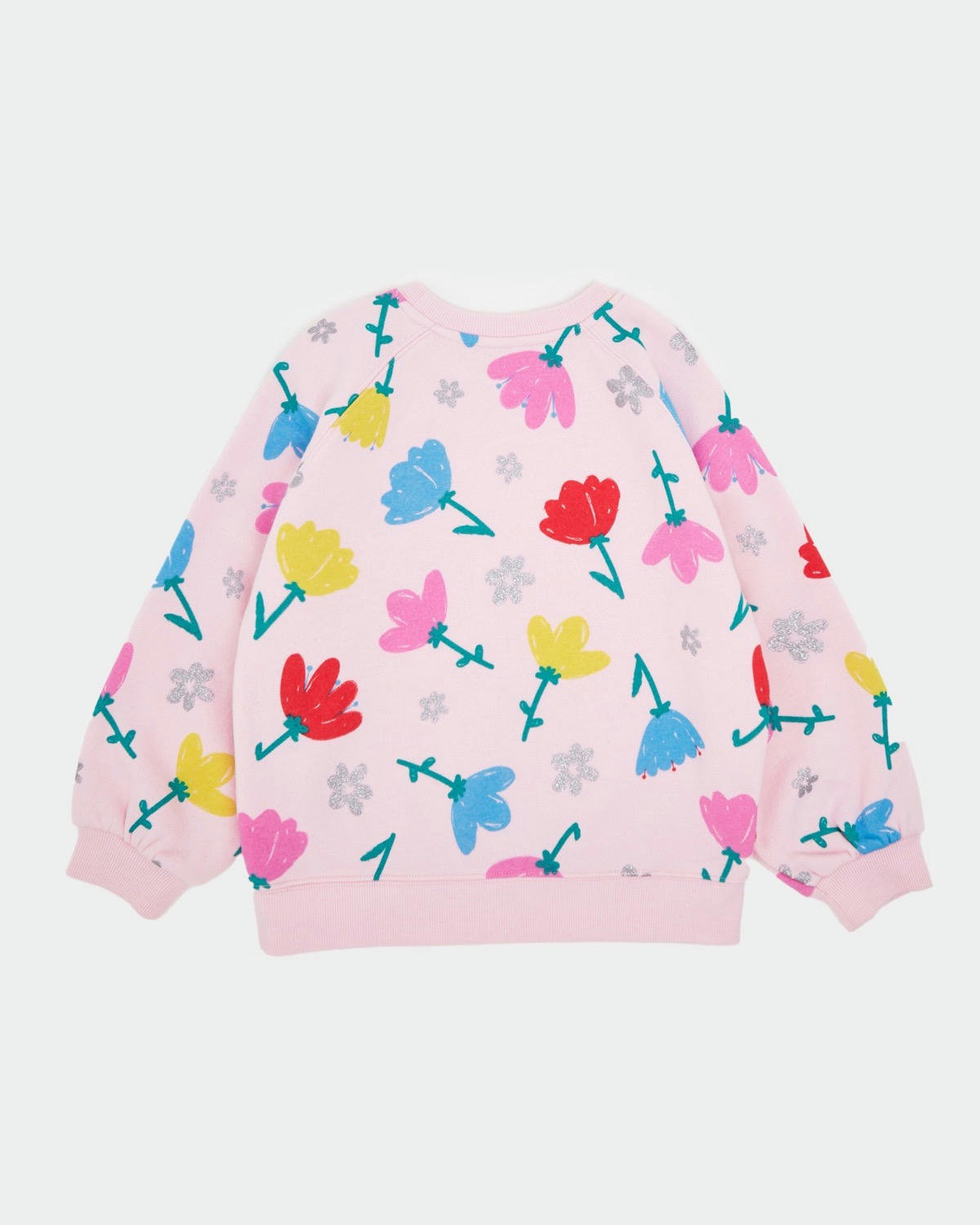 Printed Crew Neck Sweatshirt (2-14 years)