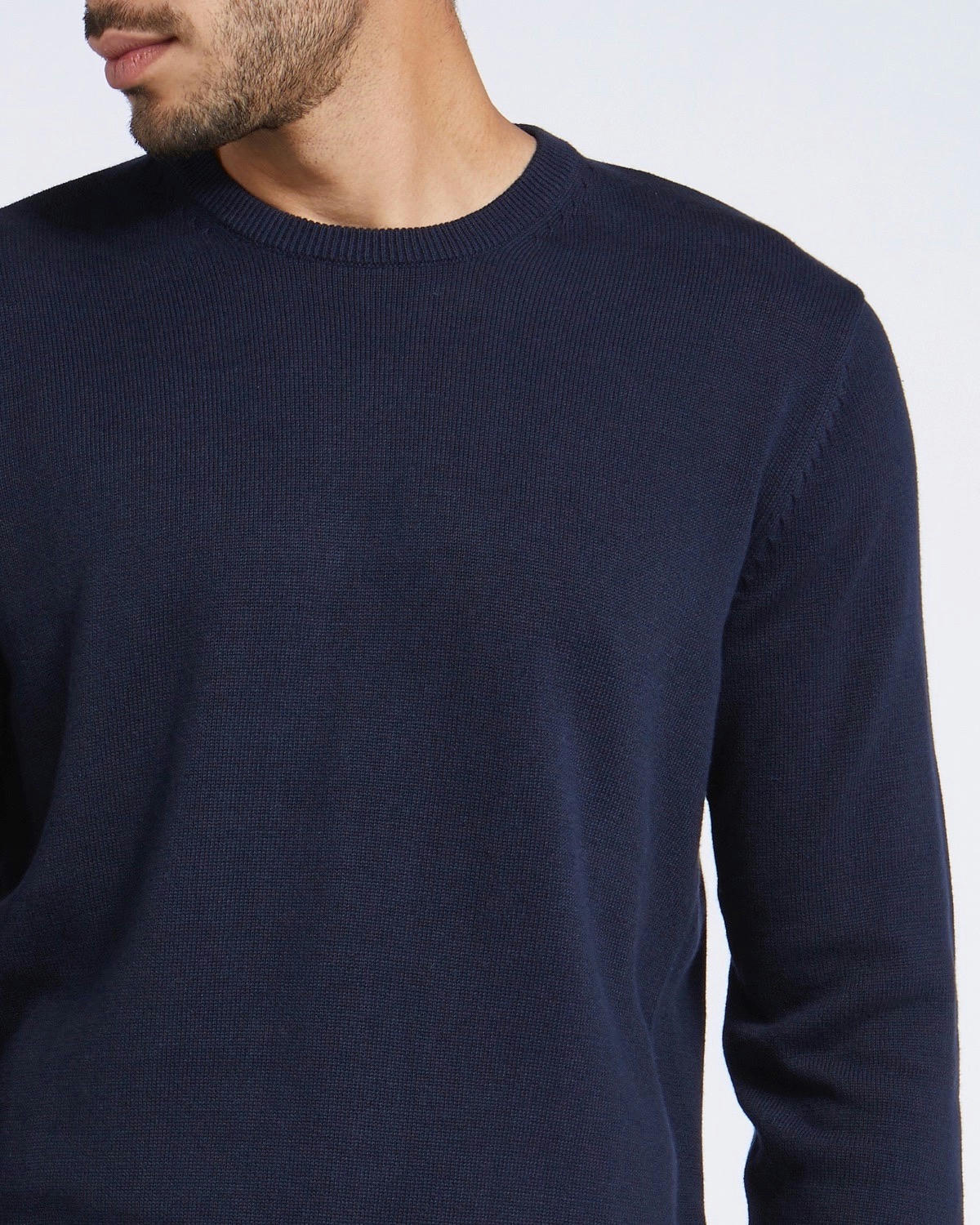 Regular Fit Cotton Crew Neck Jumper