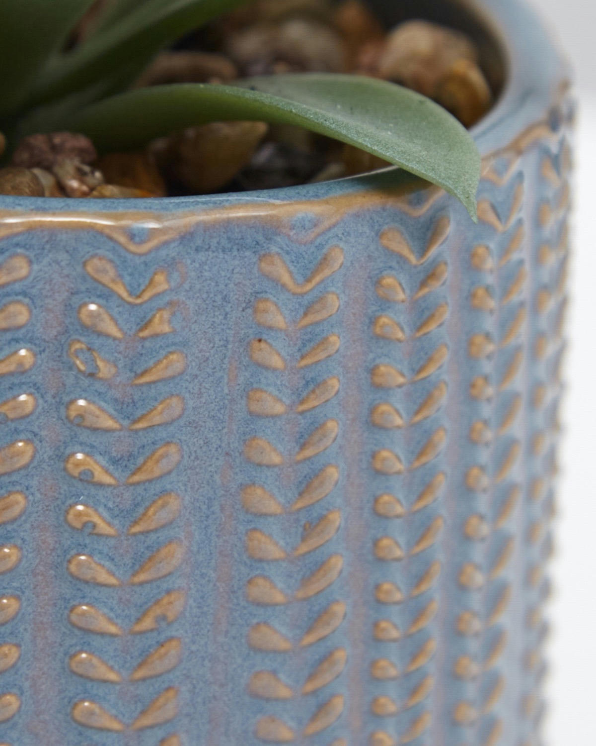 Carolyn Donnelly Eclectic Succulent In Pot