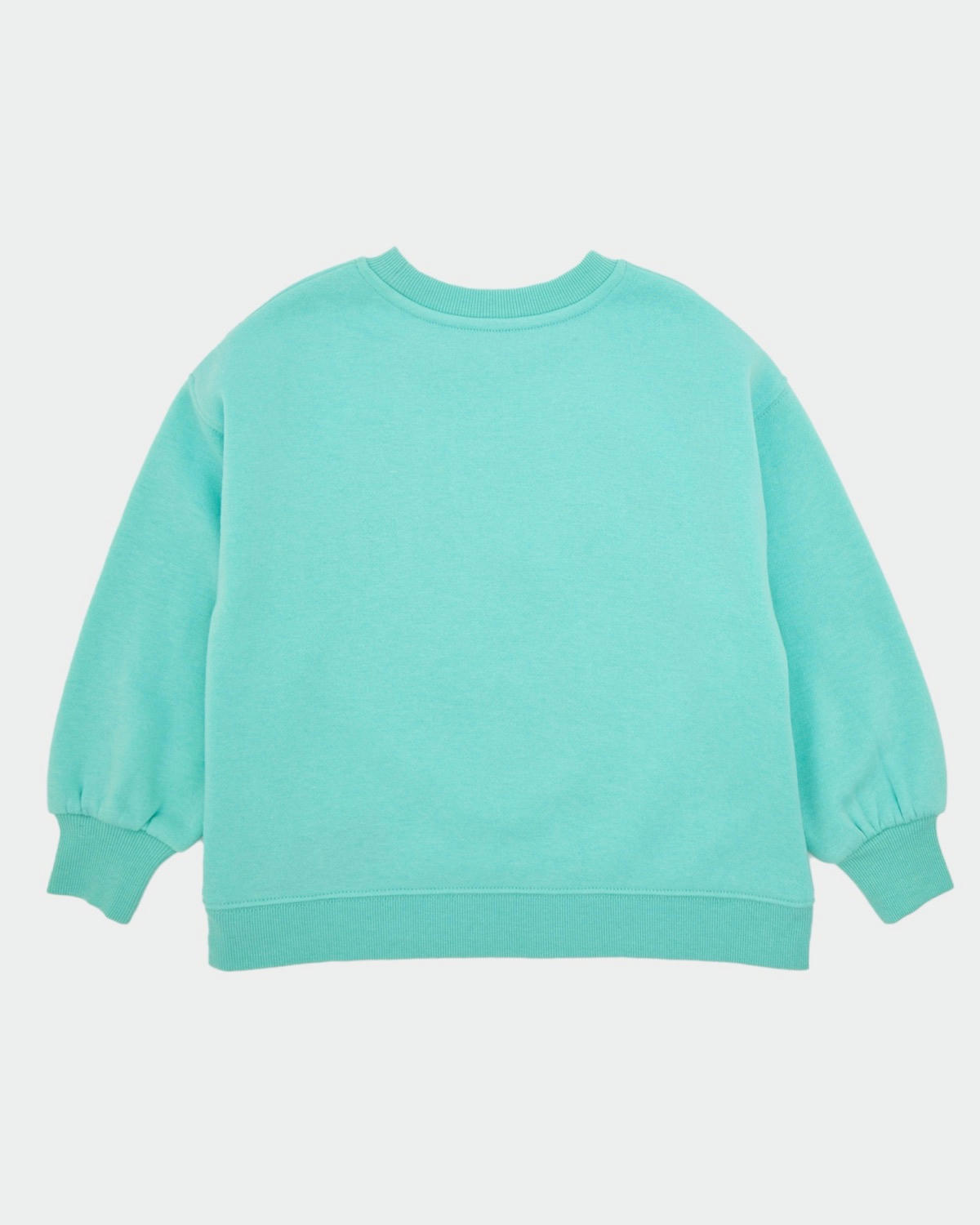 Printed Crew Neck Sweatshirt (2-14 years)