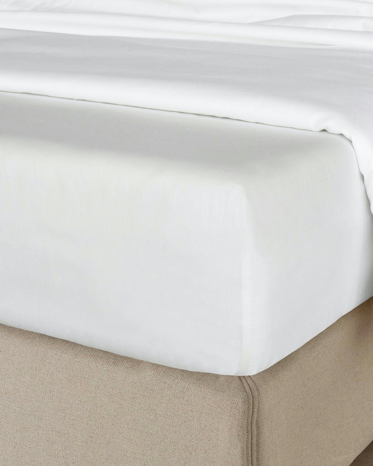 Paul Costelloe Living 300 TC Fitted Sheet - King Size
