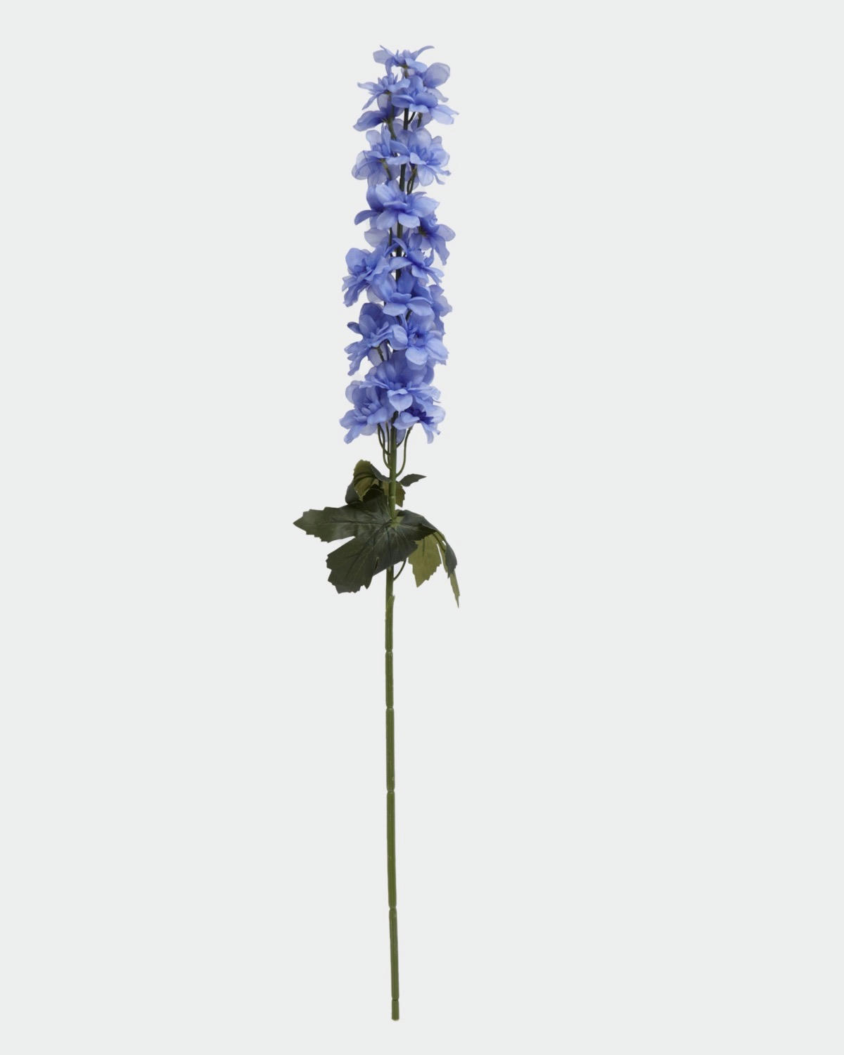 Delphinium Stem