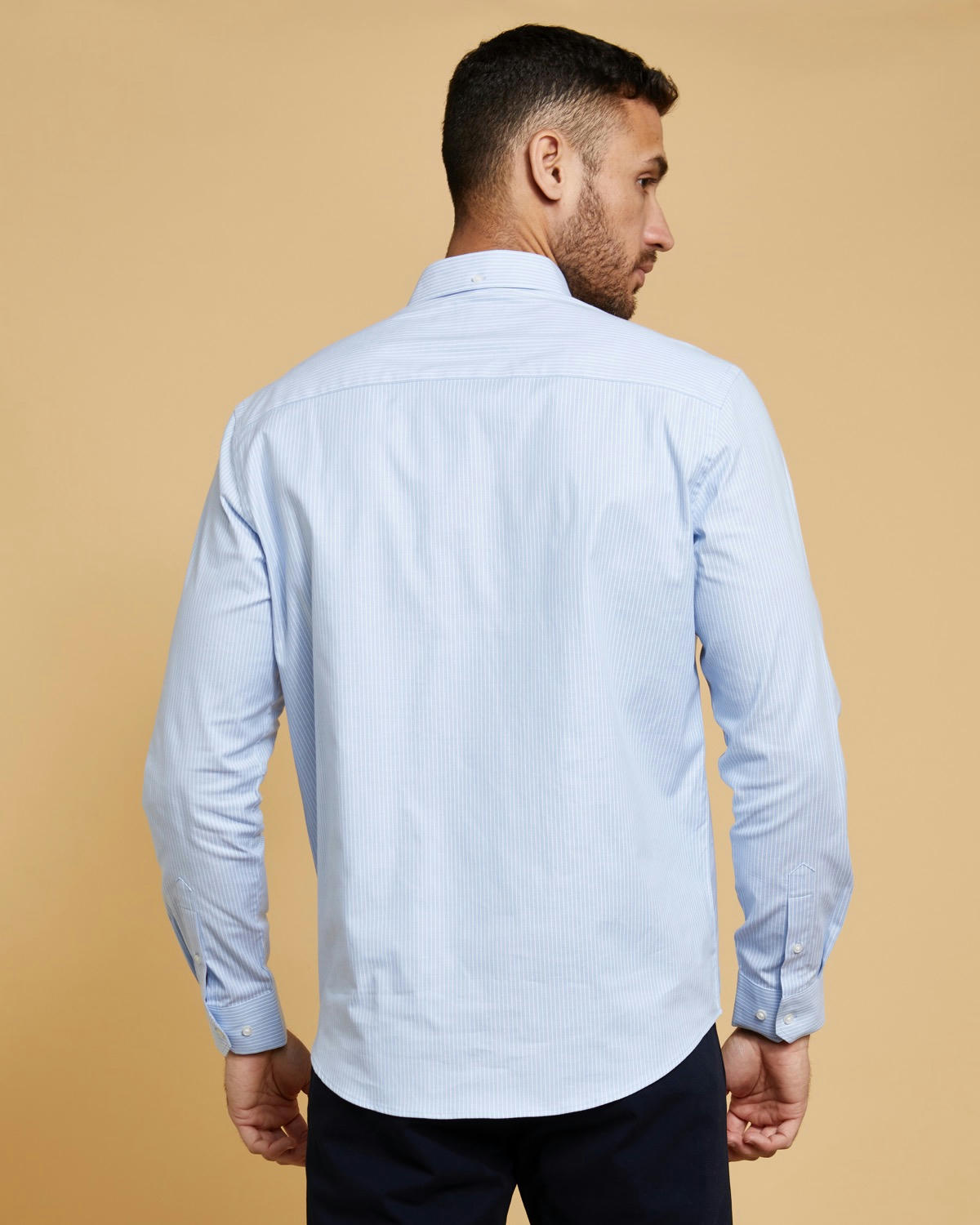 Paul Costelloe Living Blue Stripe Oxford Shirt