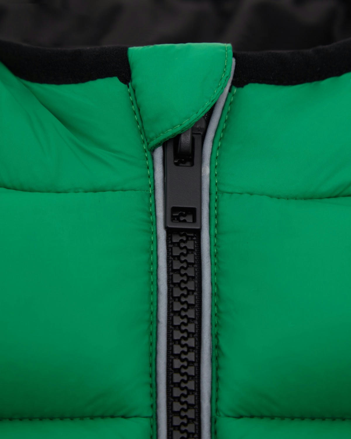Padded Jacket (3-14 Years)