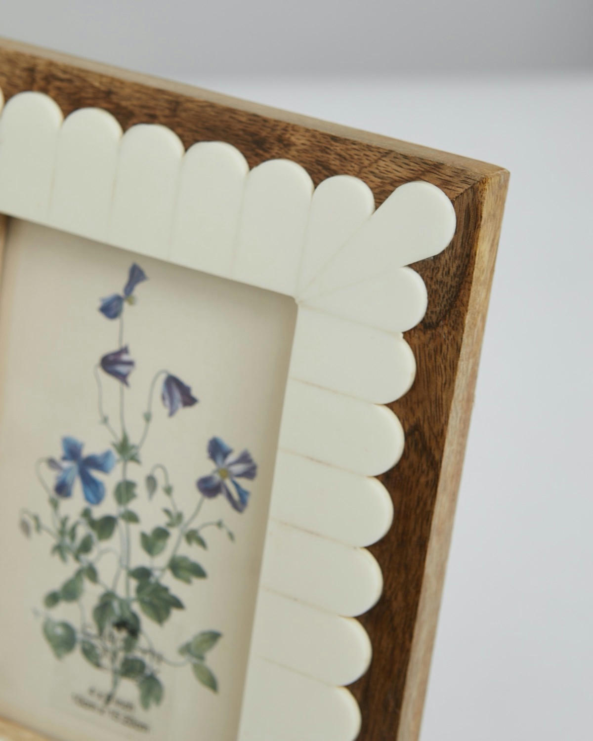 Carolyn Donnelly Eclectic Scallop Frame