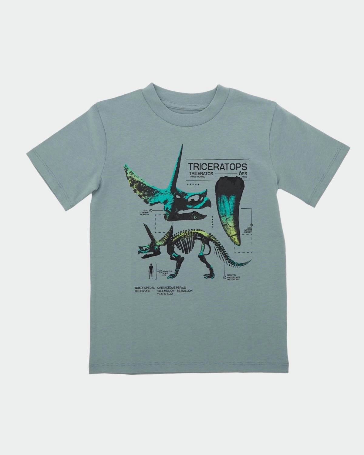 Printed T-Shirt (2-14 years)