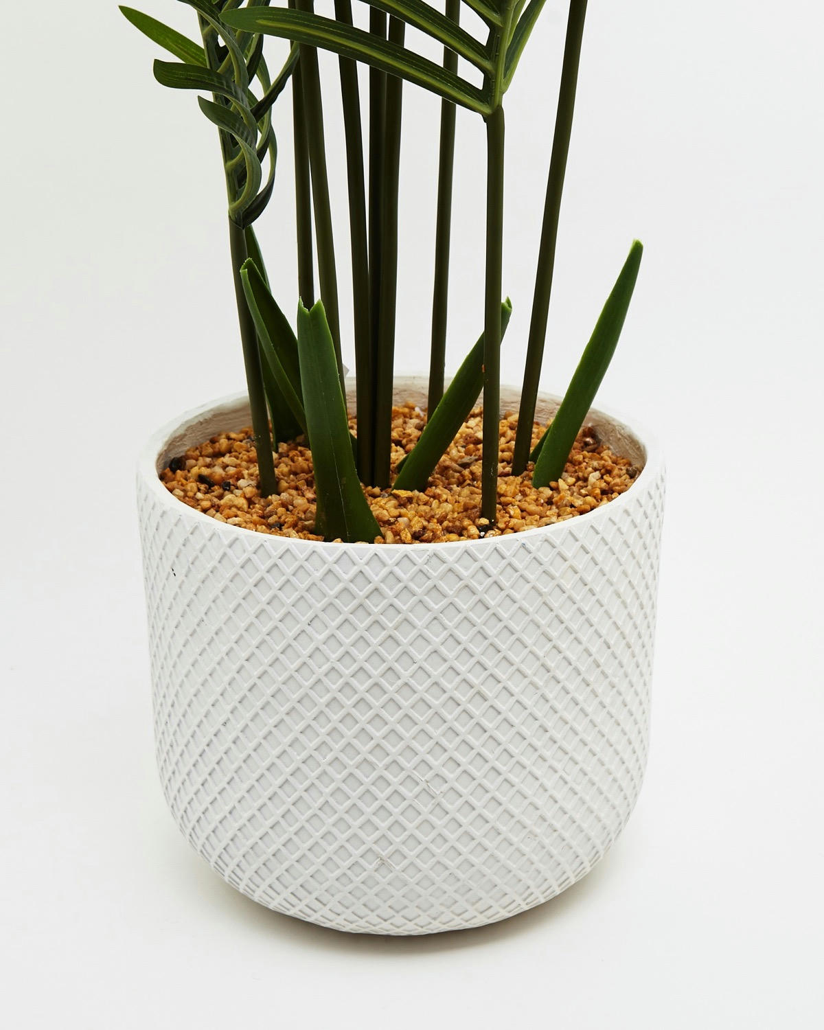 Palm Tree Leaf Pot