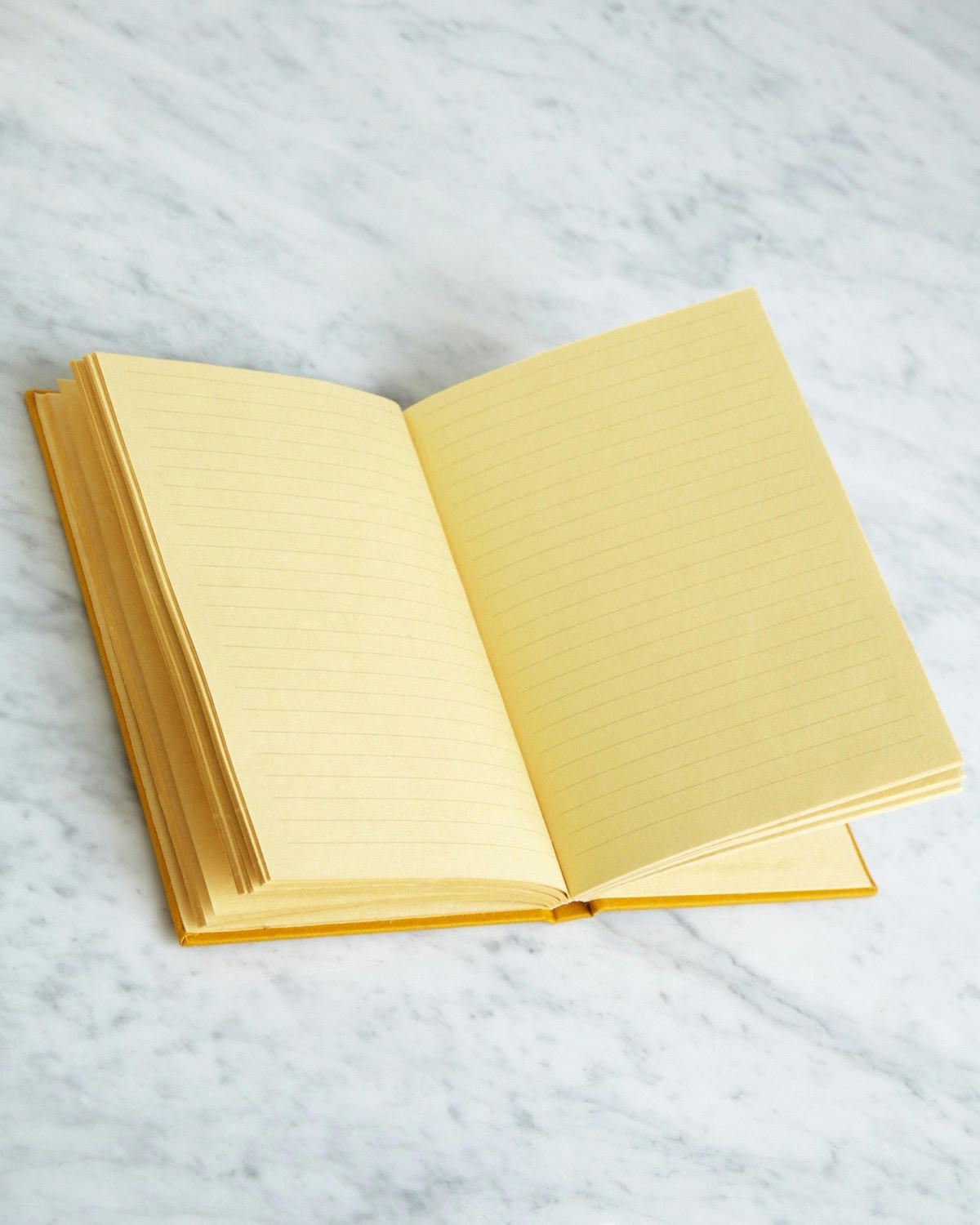 Helen James Considered Scriobh Notebook